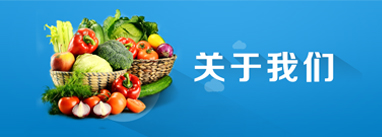 箱式壓濾機(jī)產(chǎn)品圖

